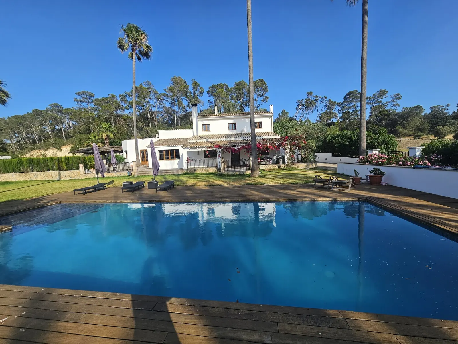 Country Estate with Stables, Arena & Lifestyle Amenities in Llubi - 1